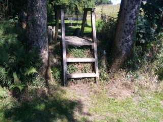 Self-catering-walks-dartmoor