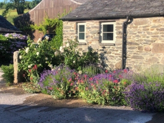 Wringworthy-self-catering-kitchen-flowers
