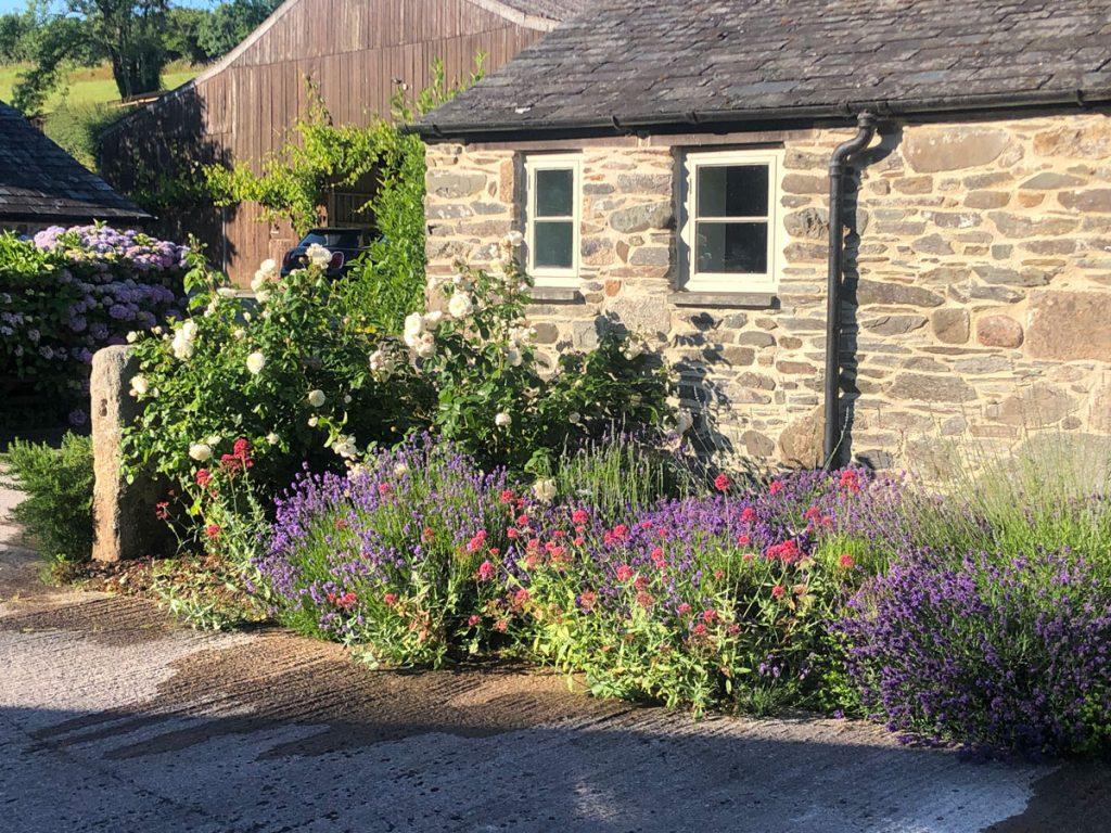 Wringworthy-self-catering-kitchen-flowers