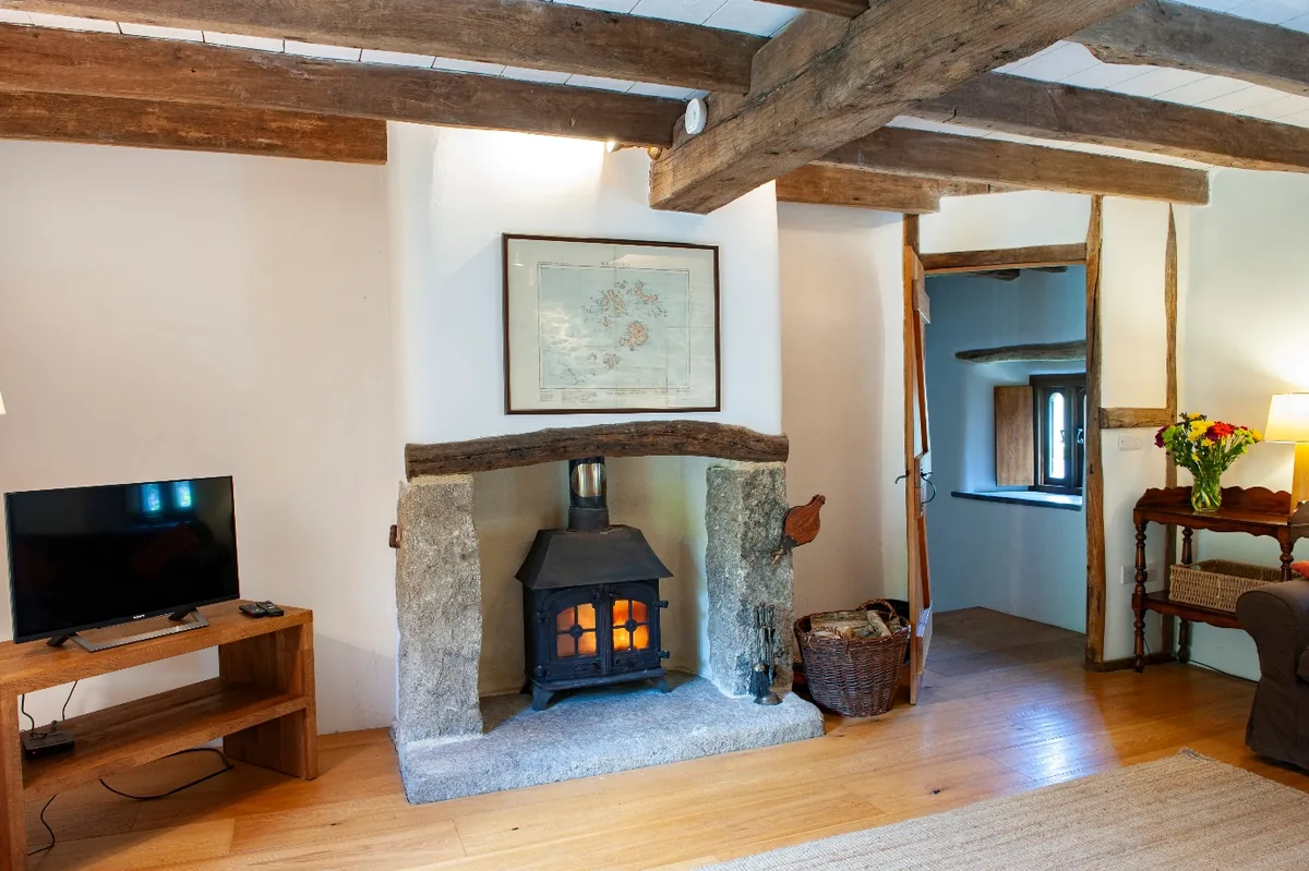 Wood burning stove Giles - self-catering holiday cottage Dartmoor